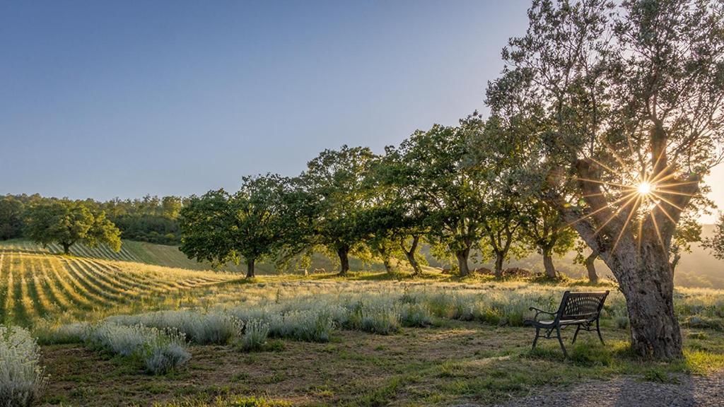 Il Poggio Di Teo Villa Manciano Luaran gambar