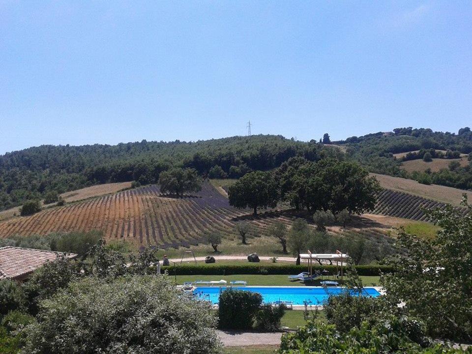 Il Poggio Di Teo Villa Manciano Luaran gambar