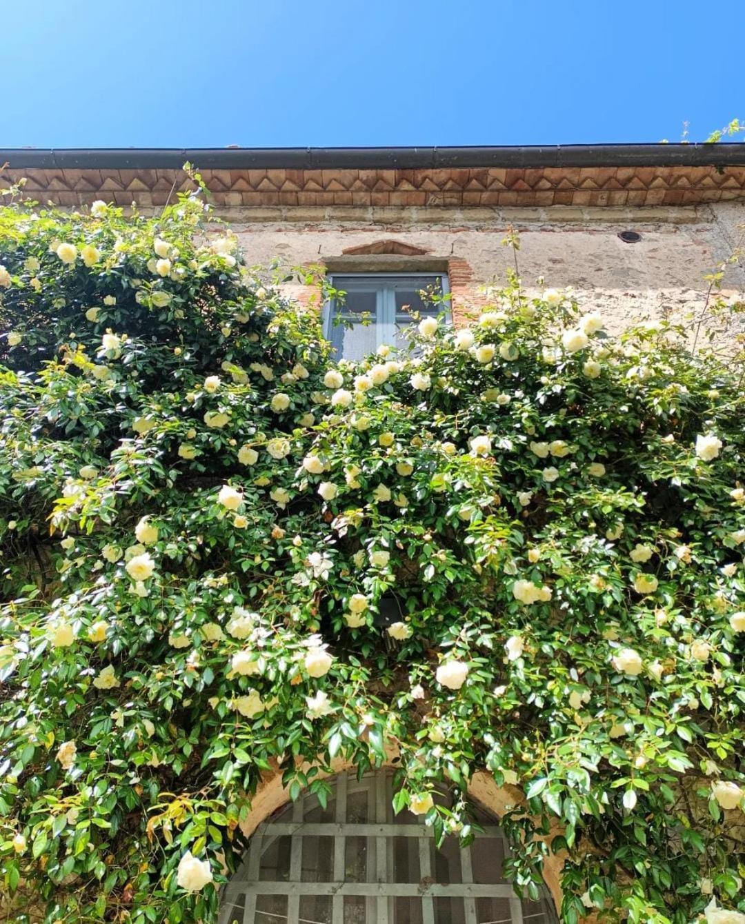 Il Poggio Di Teo Villa Manciano Luaran gambar
